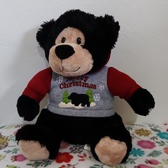 Dan Dee Christmas Bear Plush Medium 14-24in Hoodie 2022 Ages 3+ 3-5 8-11 Years