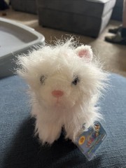 Webkinz Persian Cat HM110 Active Plush Stuffed Animal