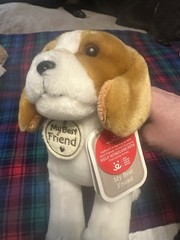 Hallmark My Best Friend Beagle Dog Plush Stuffed Animal Bean Bag Washable 2017