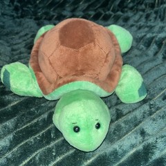 Ganz Webkinz – HM150 – Turtle Plush Animal (No Code)