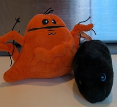 2 Plush BLACK DEATH PLAGUE yersinia pestis Pneumonic Bubonic Septicemic