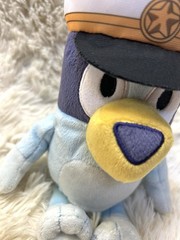 Bluey Friends Captain Bluey 8″ Plush Stuffed Animal Dog EUC~ IMMEDIATE FREE SHIP