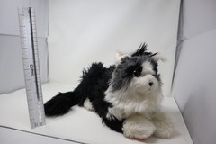 Chongker Realistic Weighted Cat Plush Stuffed Animal Tuxedo Black Grey