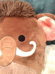 Squishmallow 12″ Chienda Wooly Mammoth Soft Tan Prehistoric Plush-EUC-FREE SHIP