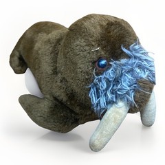 Sea World Dakin Walrus Beanbag Plush 1975 Stuffed Animal Sea Cow Toy Korea VTG
