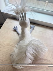 Jellycat Lola Wingaling White Peacock Plush Stuffed Animal