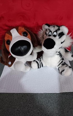 White Black Striped Tiger & The Dog Beagle (Non-Work) Stuffies Stuffed Animals