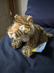Ganz Webkinz Tiger HM032 New Sealed Code