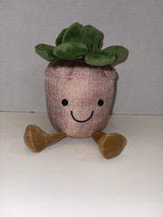 Plush Smiling Plant Succulent Beige Green CUTE Shelf Sitter