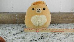 Squishmallow Plush Toy Rahima The Camel With Egyptian Style Blanket Kellytoy 8″