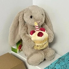 Jellycat Bashful Beige Birthday Bunny Cute Soft Plush Toy Stuffed Doll Best Gift