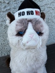 GUND Grumpy Cat Ho Ho No Plush Grumpy Cute Cat Holiday Plush Kitty