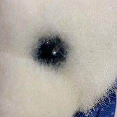 GUND Catnip White Kitten Cat Plush 8” Blue Polka Dot Bow #1126 Stuffed Animal
