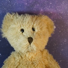 Soft Classics Vintage Toys R Us Geoffrey Inc. Plush Teddy Bear Brown 1995 12”