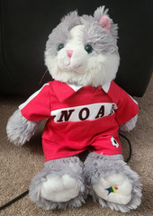 Noah’s Ark Animal Workshop Grey Cat with “Noah Soccer Outfit”