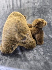 Lelly National Geographics Plush Grizzly Bears Mom and Baby 12″ Tall No Tags