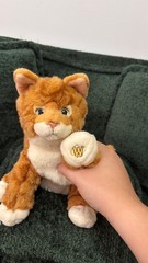 Webkinz Signature Orange Tabby, no code