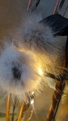 Minkling – plush animal – toys – mink fur – mink fur piece – novelty – fur craft