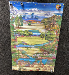 Vintage Ty Beanie Babies Official Club Jumbo Vinyl Play Mat Banner Multicolor