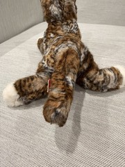 Douglas Retired Tortoise “Cosmo” Cat Plush Toy Stuffed Animal Collectible EUC