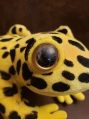 1996 Frog Culture Plush Frog Yellow And Black stuffed animal special effects