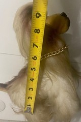 VTG KNICKERBOCKER K T Pets PUPPY Long Hair Dachshund Dog Plush Toy Animal RARE