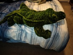 Animal Alley Toys R Us Alligator Stuffed Animal Plush Toy 2000 2 Foot