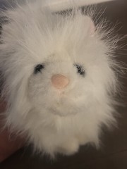 Vintage Ganz Webkinz HM110 Persian Cat. White with Blue Eyes No Code Or Tag EUC