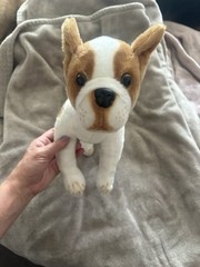 Tiger Tale Toys Viahart Bobby Boston Terrier 18” Poseable Legs Plush Dog Pup