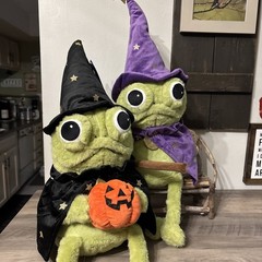 Moonlight Manor Frog Wizard & Frog W/ Pumpkin Plush Green/Purple Halloween NEW