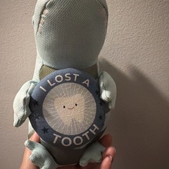 Pillowfort 12″ Mint Green Alligator I LOST A TOOTH Kids’ Plush Milestone Animal