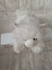 Kitty Cat Miyoni By Aurora White Turkish Angora Cat Kitten 8″ Yellow Eyes Plush
