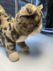 Douglas Cuddle Toys TASHETTE BENGAL CAT Plush 9.5” Stuffed Animal Toy