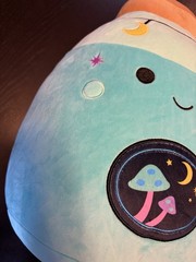 Squishmallows Reishi 12″ Neon Teal Potion Bottle Black Mushroom Plush Halloween