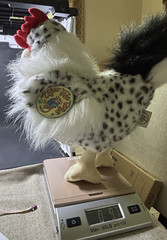 Rambles The Rooster 13 Inch Stuffed Animal Plush -Tiger Tales Toys-2022, b/w,nwt