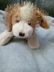 Ganz Webkinz Cocker Spaniel HM011 Tan Dog Stuffed Animal- No Code