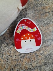 Squishmallow 5” Mushroom Malcolm Valentine’s Day Hearts Kellytoy BNWT New