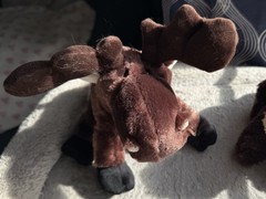 GANZ Webkinz Moose Plush Retired HM375 Stuffed Animal Retired Chocolate brown
