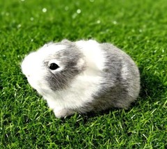 Gray Guinea Pig 5 Inch Fur Stuffed Animal Plush Toys Toddler Doll Kids Gifts