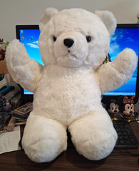 LARGE 20″ TALL x 10″ W WHITE PLUSH TEDDYBEAR STUFFED ANIMAL/NO BOX/NO TAGS