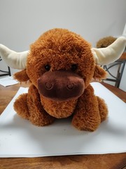 Jazware Applause Highland Cow New With Tag Approximately 14″ Tall