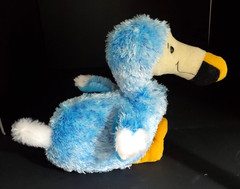 Webkinz DODO BIRD Sealed UNUSED CODE A RARE