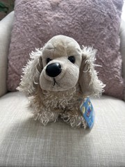 WEBKINZ AMERICAN COCKER SPANIEL Plush Dog HM202 W/ Sealed Hang Tag Attached