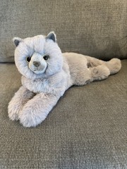 Persian Cat Juliette Douglas Cuddle Toys Gray Cute Soft Plush Stuffed Animal EUC