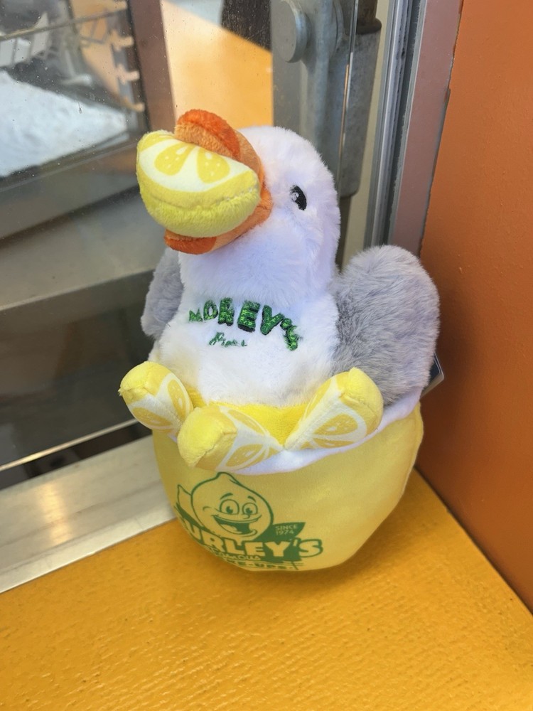 The Original Morey’s Piers Sunny the Seagull CURLEY LEMONADE Size Small