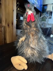 Dan Dee Fuzzy Rooster Chicken Fluffy 16″ Plush Stuffed Animal Realistic Looking