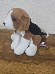 Douglas Sniff Beagle Dog Plush 7 Inch Mini Stuffed Animal #1558
