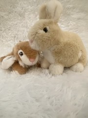 Two Med Size Bunnies Stuffed Plush Toys Soft Toddlers 18-24 Months, 2-4 Years