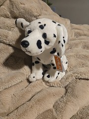 Dalmatian Plush Dog Cuddlekins 12″ Wild Republic NEW