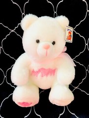 Royal Plush Toys White Teddy Bear Plush Sitting Stuffed Animal Embroidery 10”